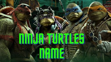 ninja turtles names origin